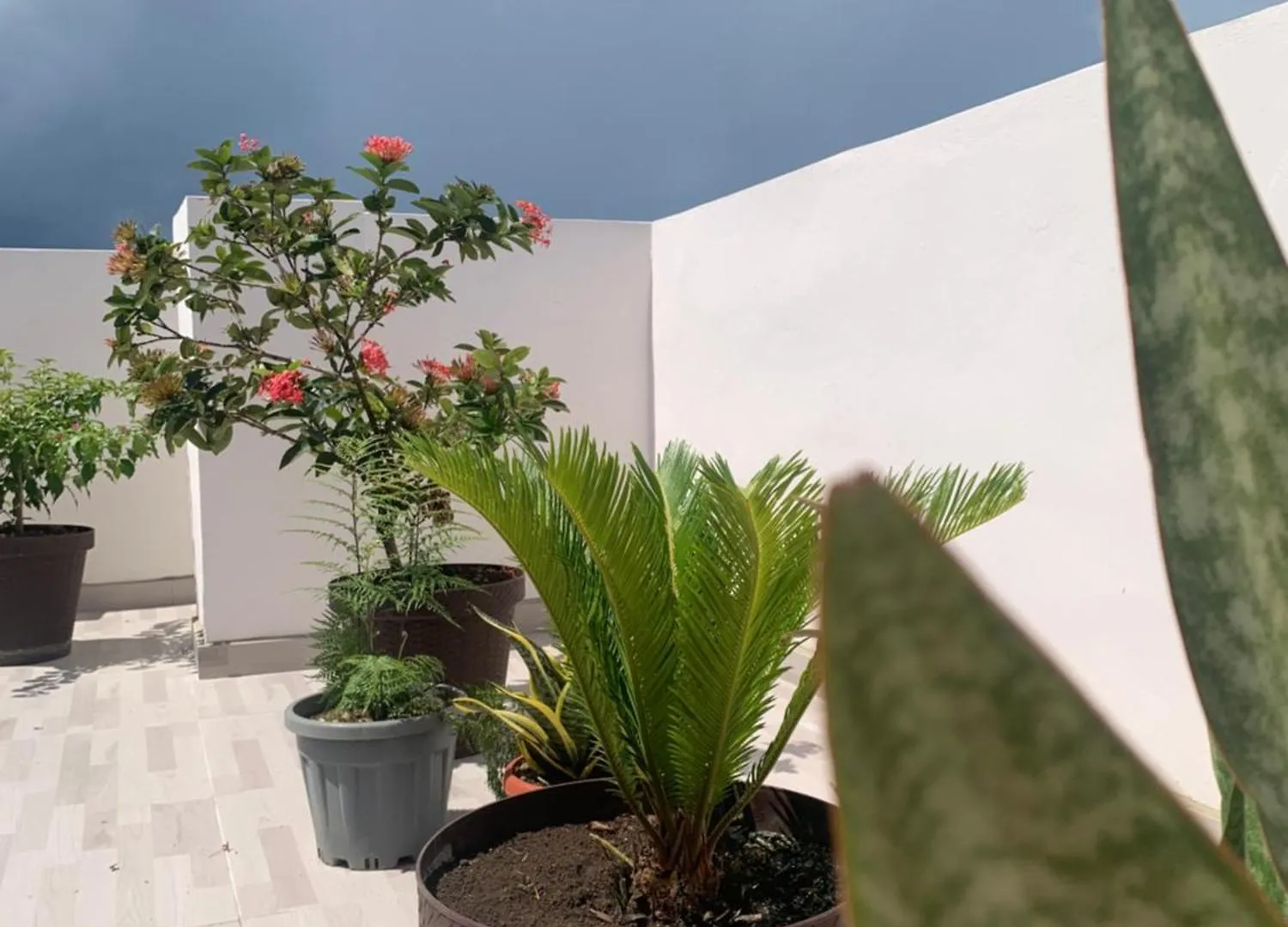Monte Plata Plataview Apartahotel Apt 3A דירה